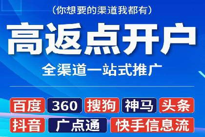 竞价排名中的数据分析和优化案例